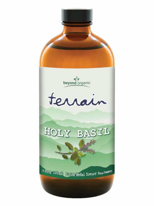 Terrain Holy Basil 1