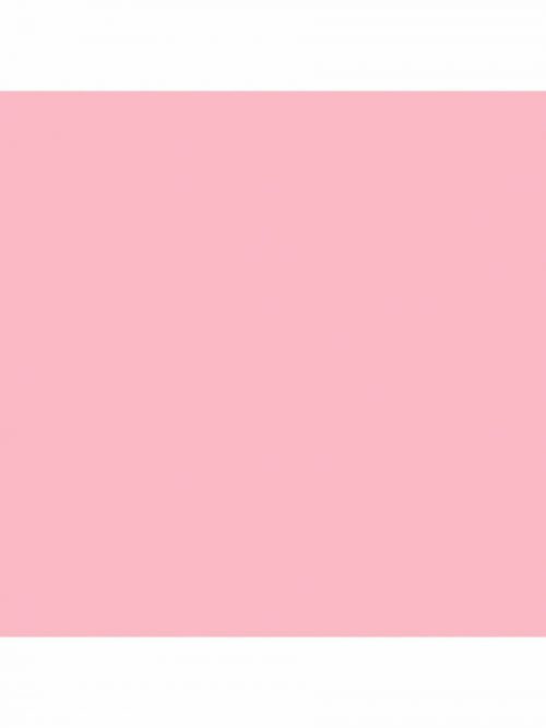 Petal Pink Solid Color Cardstock 1